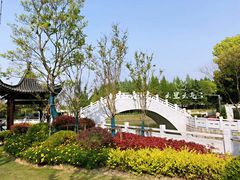 -嘉定紫藤园