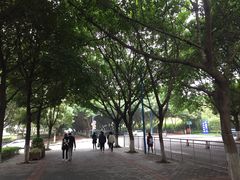 -西南政法大学(渝北校区)