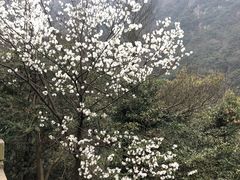 -宁波五龙潭景区