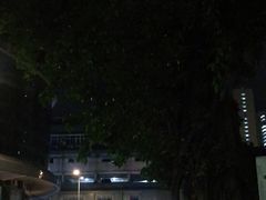 -美居大酒楼(美居广场店)