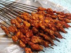 -尕胡才炕锅烤羊肉馆(八一路店)