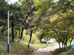 -南京古林公园