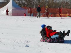 -绿野森林乐园冰雪季
