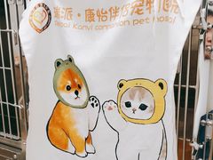 -瑞派康怡24h宠物医院·犬猫医疗中心·微创绝育(瑞景分院)