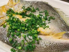 -醉辉皇原味海鲜江南菜(成都大魔方店)