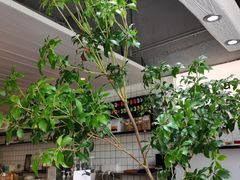-明谦·Coffee&Cocktail Bar(美您公园店)