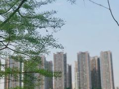 -重庆彩云湖湿地公园