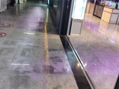 -中环花鸟鱼虫市场