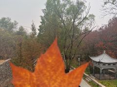 -白水寺森林公园