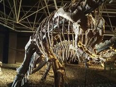 -世界恐龙谷景区