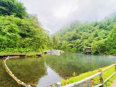 -凤凰山国家森林公园