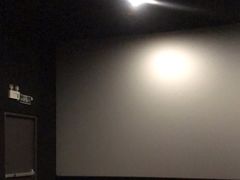 -大光明丽星VIP影城(昌里路杜比全景声店)