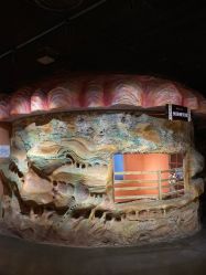 -Zoolung Zoolung动物主题公园(海信广场店)