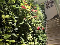 -Peet's Coffee皮爷咖啡(大学路店)