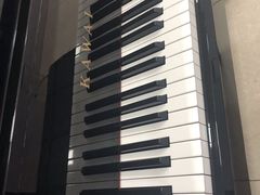 -天籁琴行(淘金店)