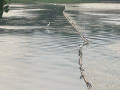 -南宁南湖公园