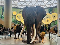 -陕西自然博物馆