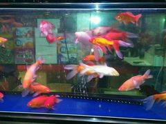 -K歌之王量贩式KTV(洪楼店)