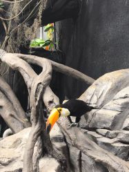 -Zoolung Zoolung动物主题公园(海信广场店)