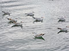 -青海湖二郎剑景区