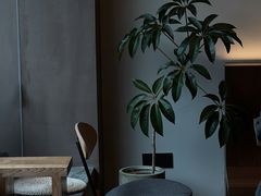 -溯洄咖啡VORTEX COFFEE