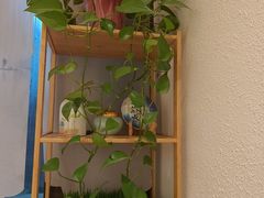 -竹鲜笙全竹宴(国色天香店)