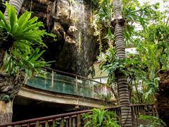 -正佳雨林生态植物园