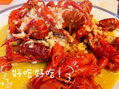 -杨氏青龙虾·羊蝎子(托乐嘉店)