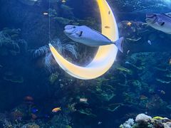 -欢乐海岸海洋奇梦馆