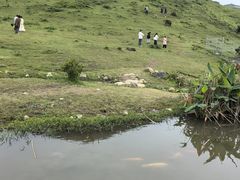 -大姆山草场