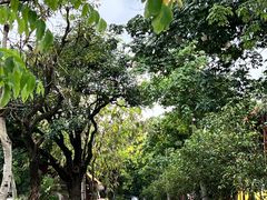-广东花都香草世界旅游度假区