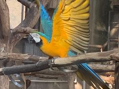 -大连森林动物园