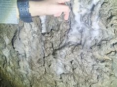 -地心探险极地