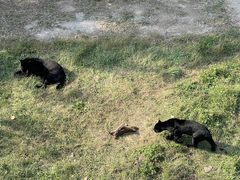 -石家庄市动物园