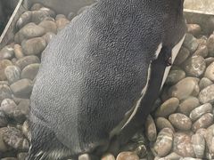 -大连圣亚海洋世界