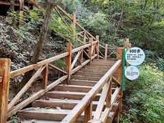 -大岭沟猕猴桃谷风景区