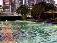 -深圳星河丽思卡尔顿酒店