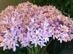 -锦江之星(西安五路口地铁站万达广场店)