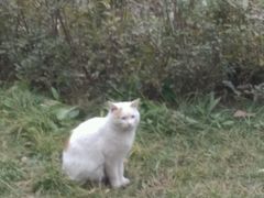 -西安市长乐公园