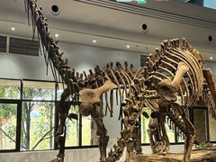 -自贡恐龙博物馆