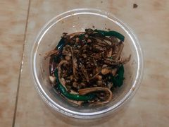 韭菜拌豆笋-清泉食杂店