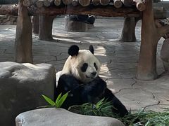 -宁波野生动物园