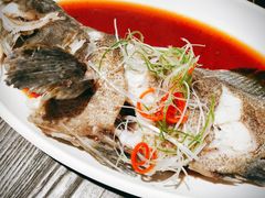 清蒸鲈鱼-盒马鲜生(馥邦国际店)