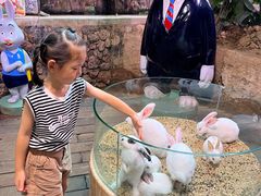 -正佳雨林生态植物园