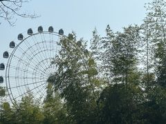 -七桥瓮公园