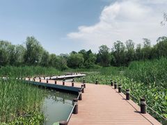 -翠湖国家城市湿地公园