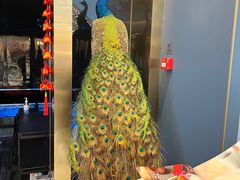-京悦荟·京沪融合菜(漕河泾印象城店)