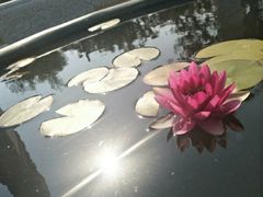 景点-天津妈祖文化园