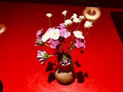 -初花·日本料理