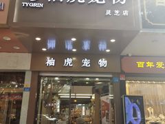 -袖虎宠物·金渐层缅因猫舍(灵芝店)